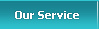 Our Service